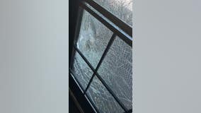 Sylvan Hills vegan restaurant vows to stay despite crime