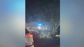 Video shows small plane that crashed into Brookhaven neighborhood