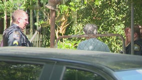 Union City dog attack: Investigators back on scene after death