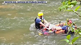 Video: Dog saved from Chattahoochee River in White County