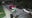 Sweet Auburn mass shooting: Video of suspects, person of interest released