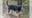 Retired Gainesville police K9 passes away