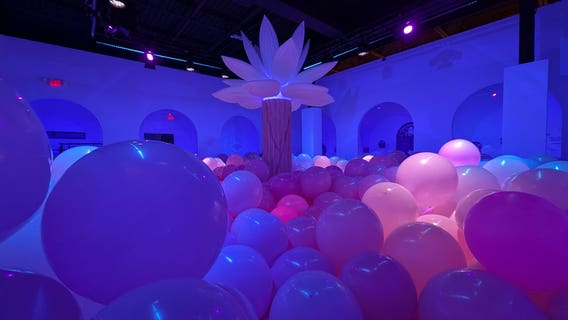 Bubble Planet experience really 'pops' in metro Atlanta