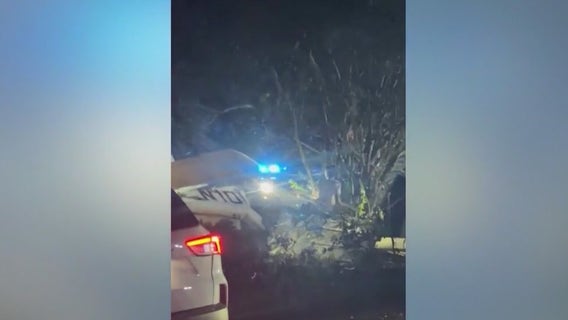 Video shows small plane that crashed into Brookhaven neighborhood