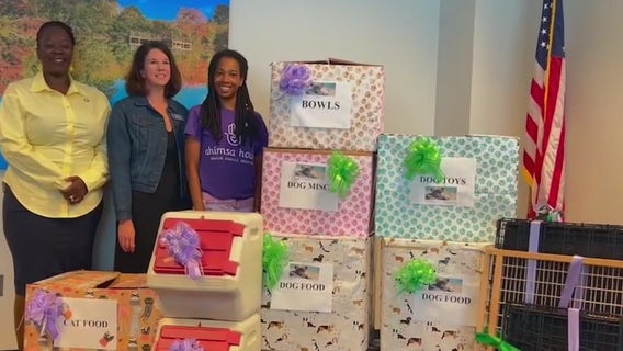 Gwinnett County drive collects pets supplies for domestic violence victims
