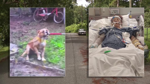 Union City woman attacked by dogs to be placed on comfort care
