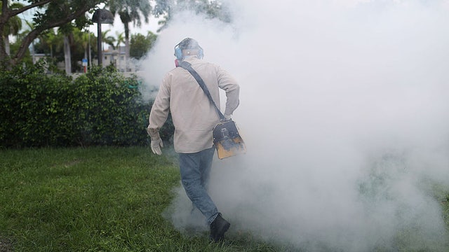 Georgians warned about unlicensed door-to-door pest control sales