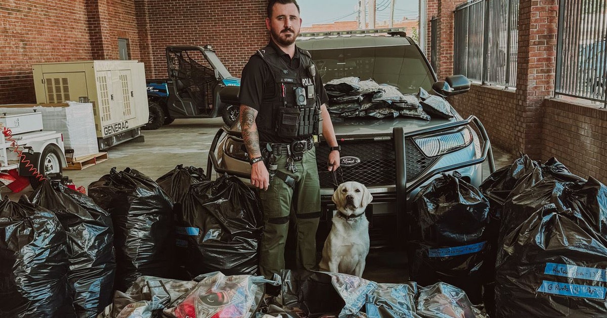 Massive drug bust: 464 pounds of marijuana seized on Interstate 75 ...