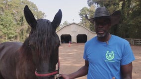 Douglas County horse therapy ranch faces foreclosure, appeals for community support