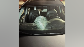 2 juveniles arrested for throwing rocks at windshields