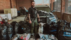 Massive drug bust: 464 pounds of marijuana seized on Interstate 75