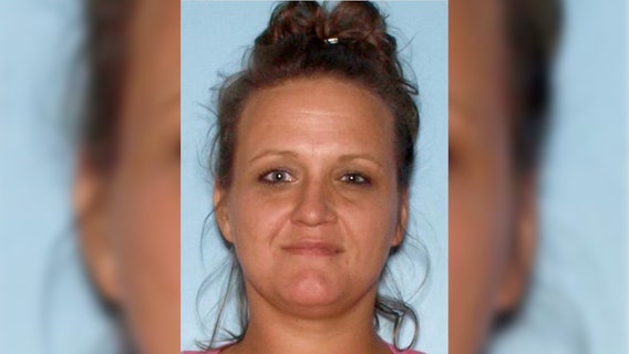 Alleged Brookhaven mail thief identified by police