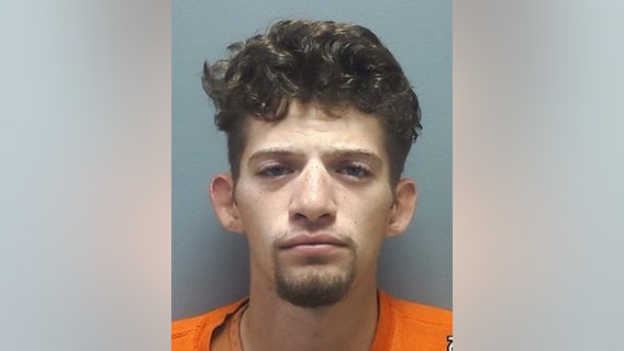 Waleska man sentenced to 15 years for violent attack on girlfriend