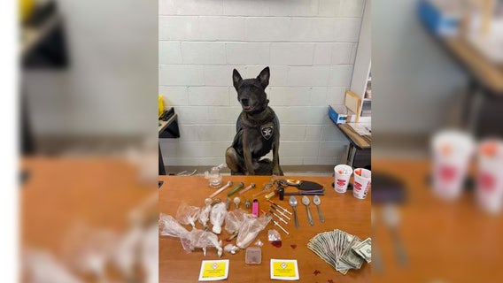 Pickens County K-9 deputy makes major drug bust