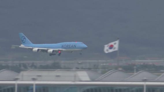 Plane carrying deported South Koreans arrives in Incheon