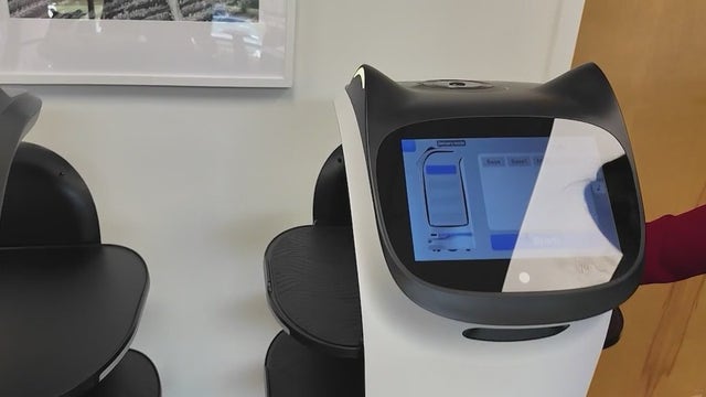 Georgia's To Do Robotics enhances hospitality with innovative service robots