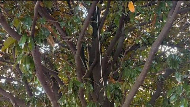 Noose-like rope found outside Atlanta's APEX Museum