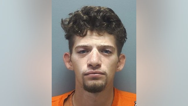 Waleska man sentenced to 15 years for violent attack on girlfriend