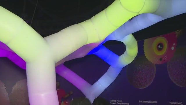 Slime mold exhibit brings gooey, scientific fun to Atlanta