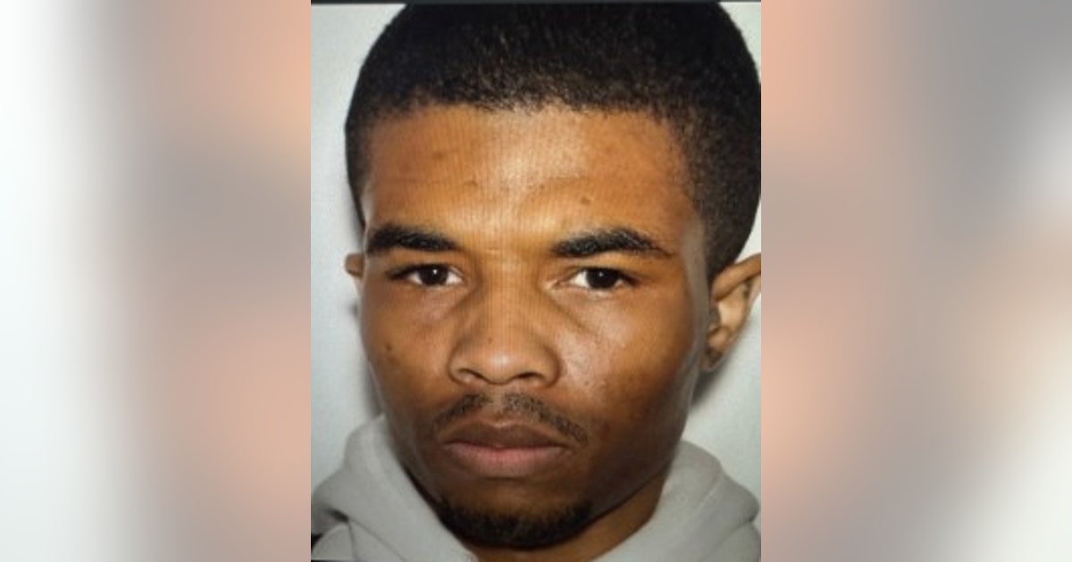 Search underway after man flees Pickens County traffic stop | FOX 5 Atlanta