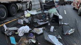 2 Furkids cats missing after vehicle totaled in I-85 multivehicle crash