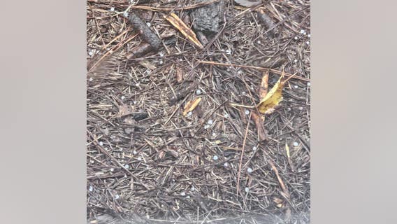 Graupel falls in Buchanan despite warm surface temperatures