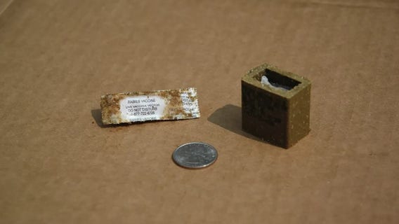 USDA to drop oral rabies vaccines across North Georgia