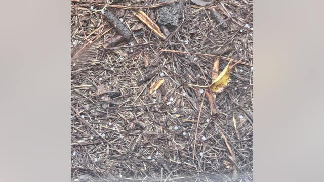Graupel falls in Buchanan despite warm surface temperatures