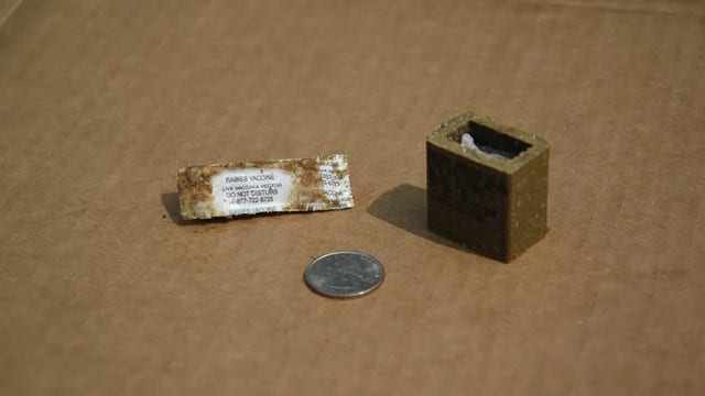 USDA to drop oral rabies vaccines across North Georgia