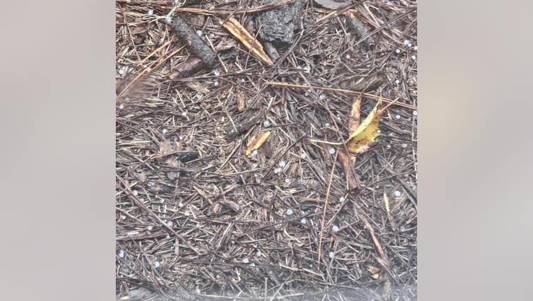 Graupel falls in Buchanan as FOX 5 viewer Mary Mendoza-Erion captures soft, snow-like ice pellets during an unusual warm-surface afternoon in Haralson County on Oct. 29, 2025.