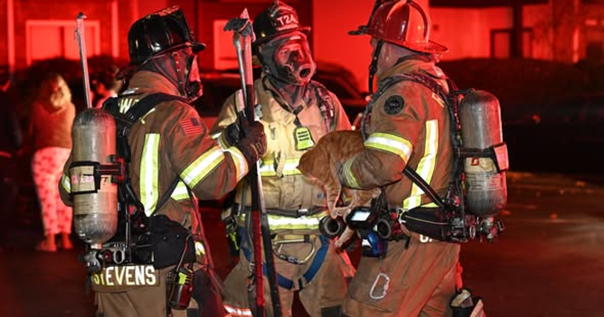 Roswell apartment fire displaces 17 residents overnight | FOX 5 Atlanta