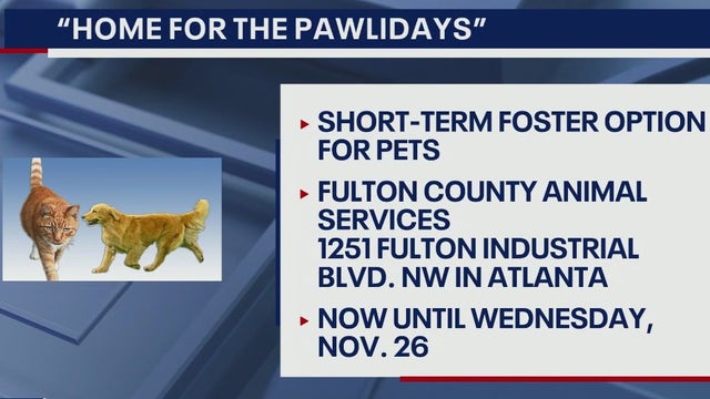 Fulton County seeks holiday dog fosters through Nov. 26