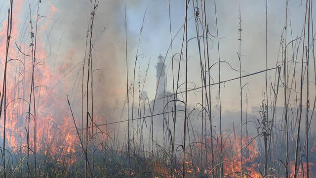 Fire burns five acres of beach on Tybee Island