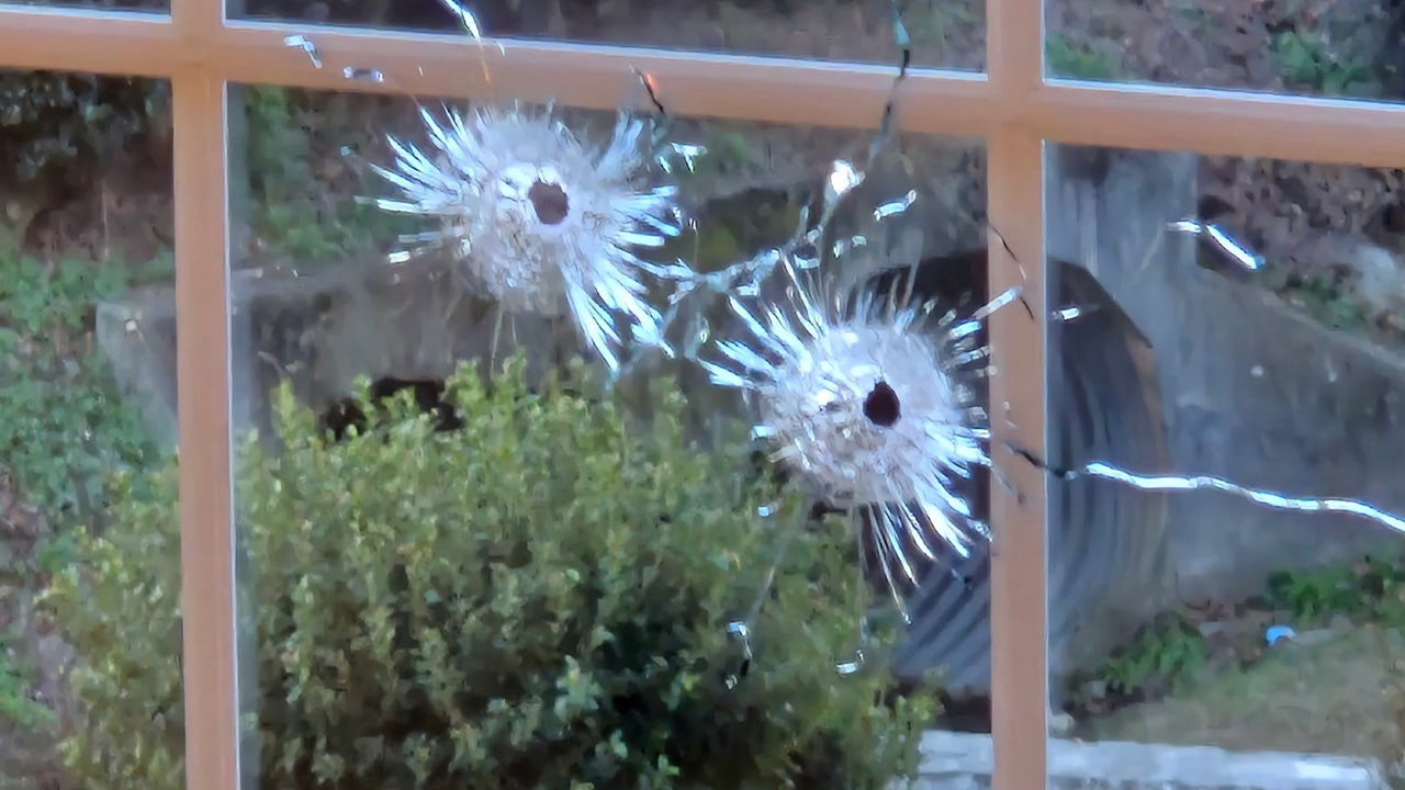 Elderly DeKalb County woman's home shot up overnight