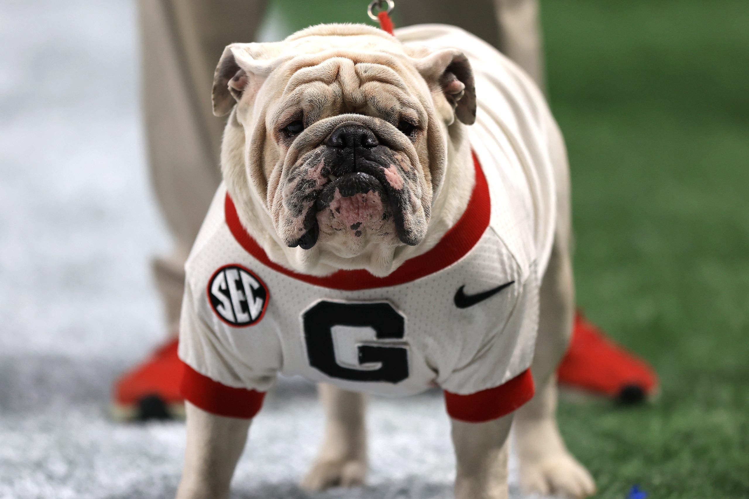 Georgia drops Louisville, NC State series as SEC prepares 2026 schedule