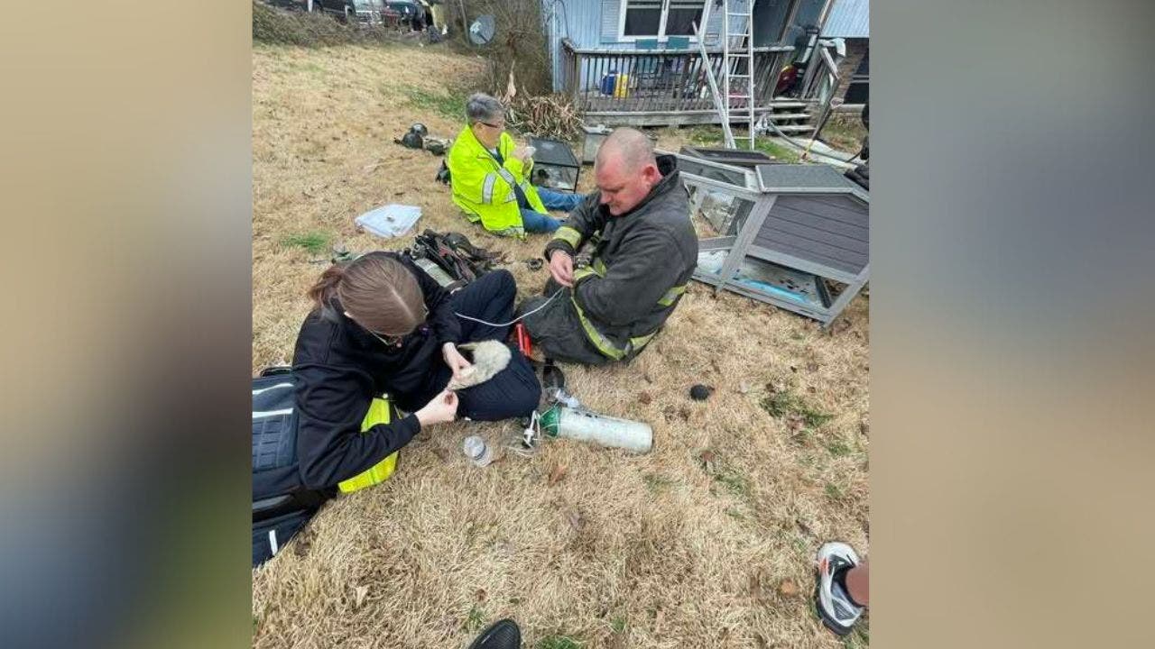 Catoosa County firefighters save pets, reptiles from house fire