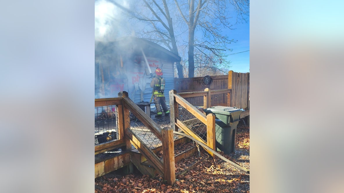 Firefighters save cat from smoke-filled Cabin Creek home in White County