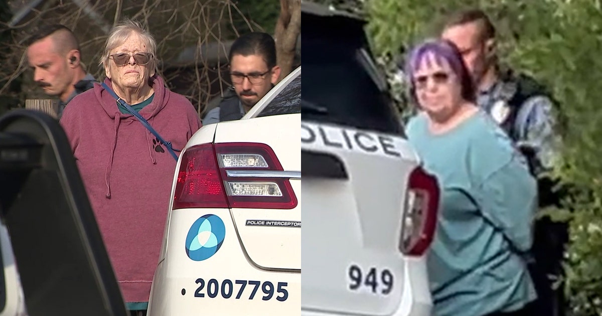 2 Gwinnett women charged after 25 dogs seized, 13 found dead in cruelty ...