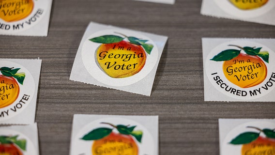 Georgia voter data lawsuit draws intervention from voting rights organizations