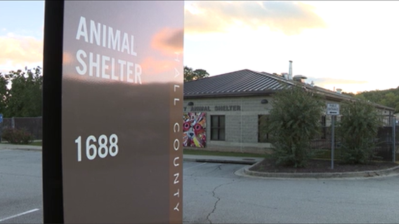 Hall County seizes 100 animals in Gainesville hoarding case
