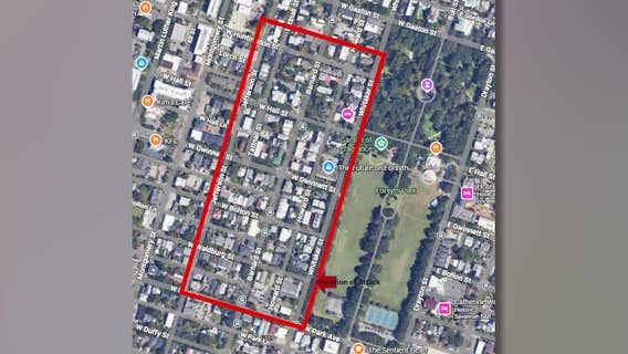 Savannah investigators seek video in Savannah's Forsyth Park chemical attack