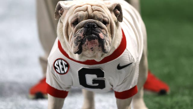 Georgia drops Louisville, NC State series as SEC prepares 2026 schedule