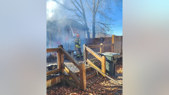 Firefighters save cat from smoke-filled Cabin Creek home in White County