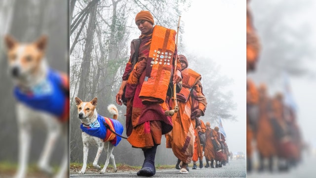 Buddhist monks cross into Georgia during cross-country walk for peace