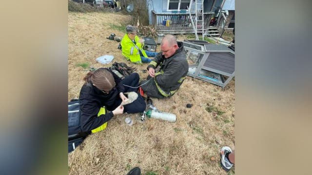 Catoosa County firefighters save pets, reptiles from house fire