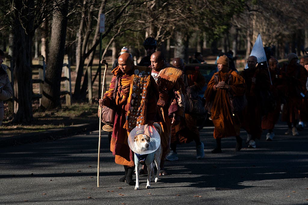 Walk for Peace continues after brief reunion with Aloka the 'Peace Dog'