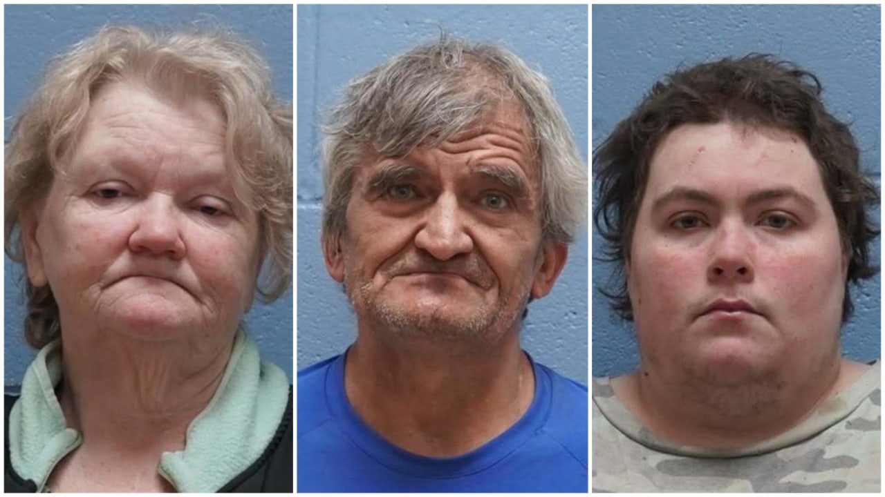 29 dead dogs, 24 emaciated dogs found at Alabama home