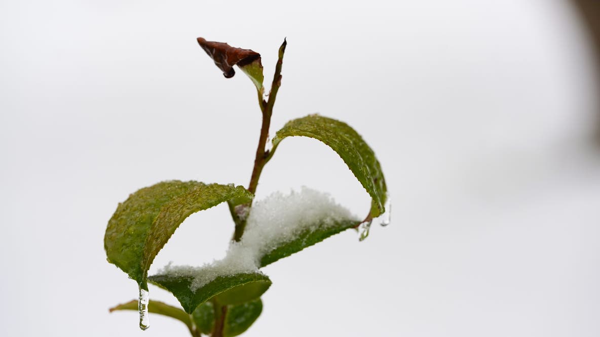 Ice storm final countdown: What you should do right now to prepare