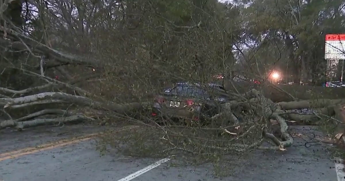 Large fallen tree blocking Ponce de Leon near elementary school