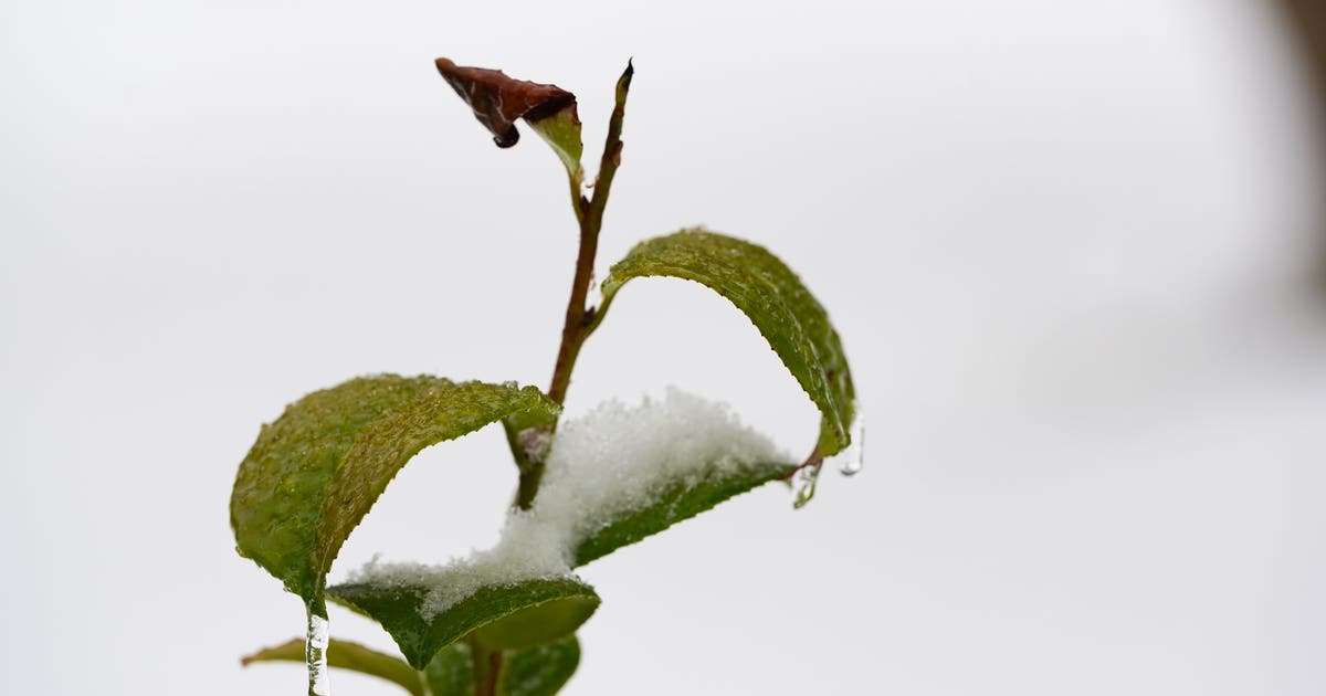 Ice storm final countdown: What you should do right now to prepare